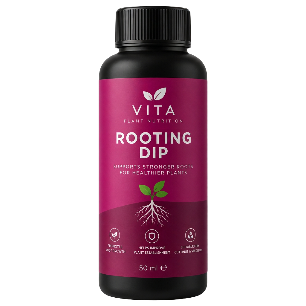 Vita Rooting Dip